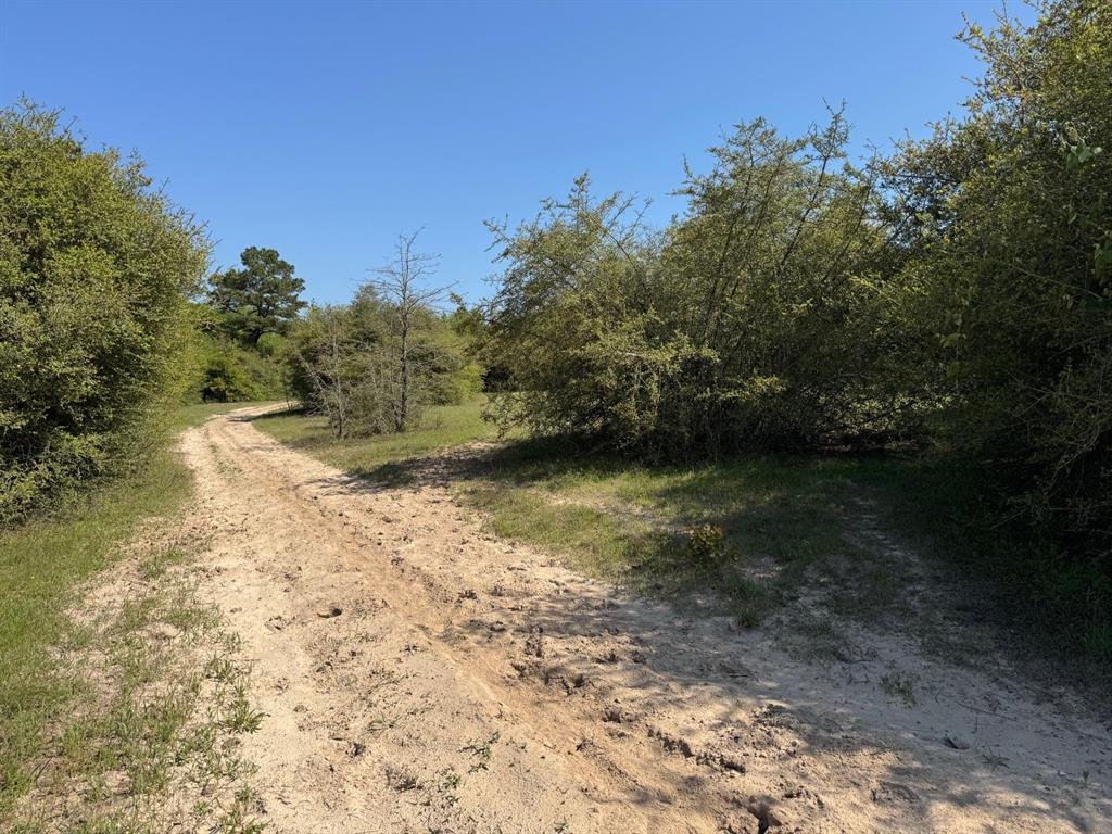 2954 County Road 2170, Grapeland, Texas image 27