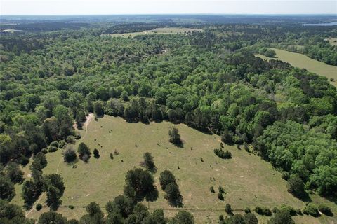 Vacant Land For Sale - 2954 County Road 2170<br/> Grapeland, TX 75844