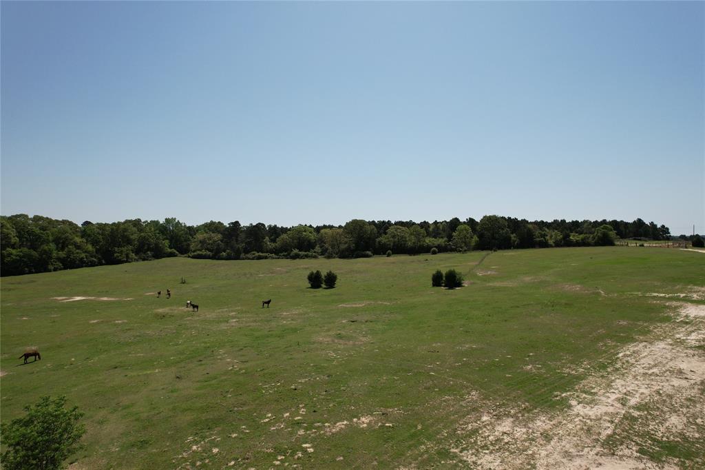 2954 County Road 2170, Grapeland, Texas image 17