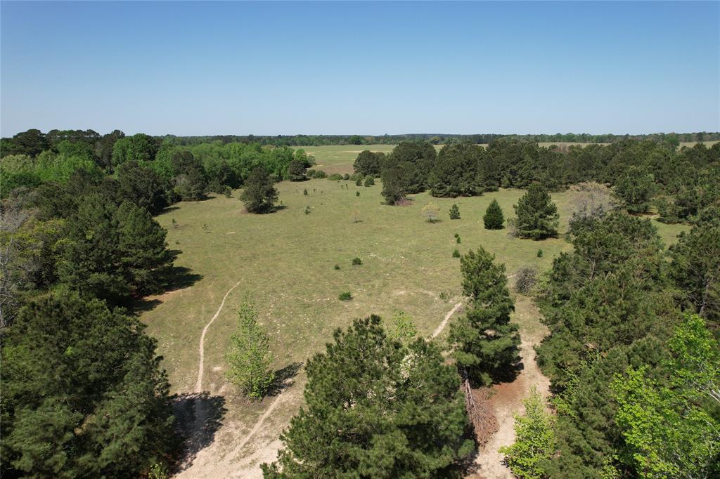 2954 County Road 2170, Grapeland, Texas image 12