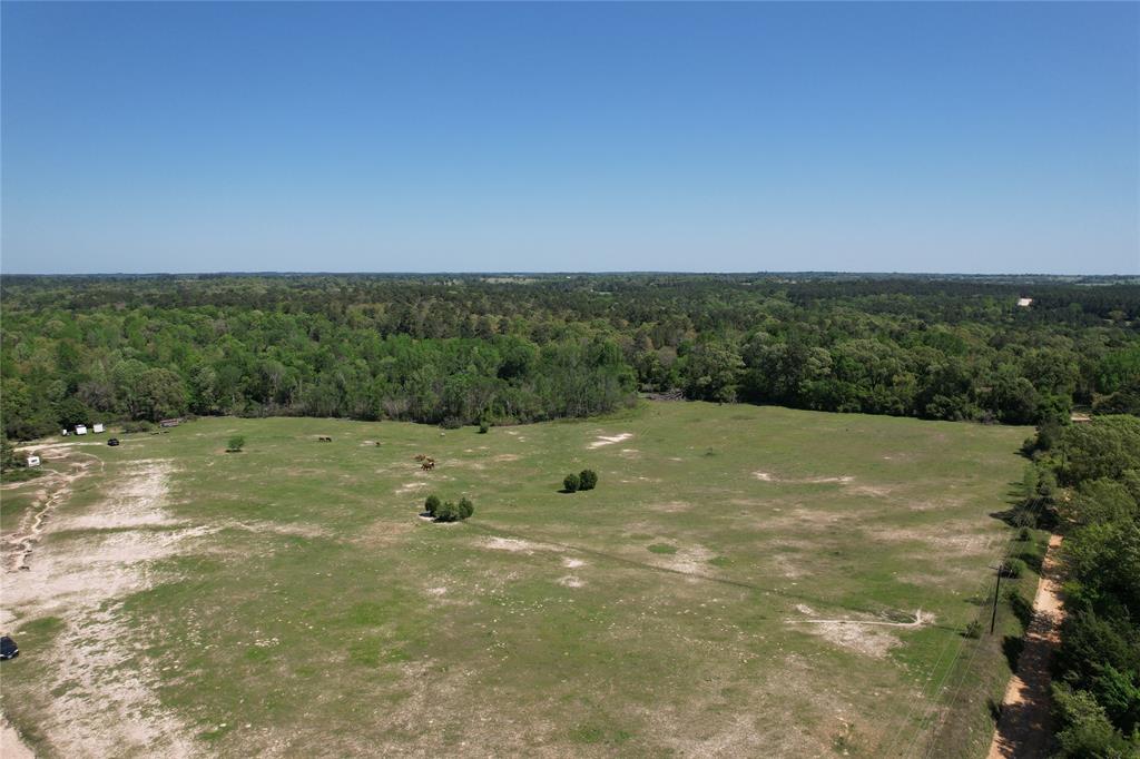 2954 County Road 2170, Grapeland, Texas image 19