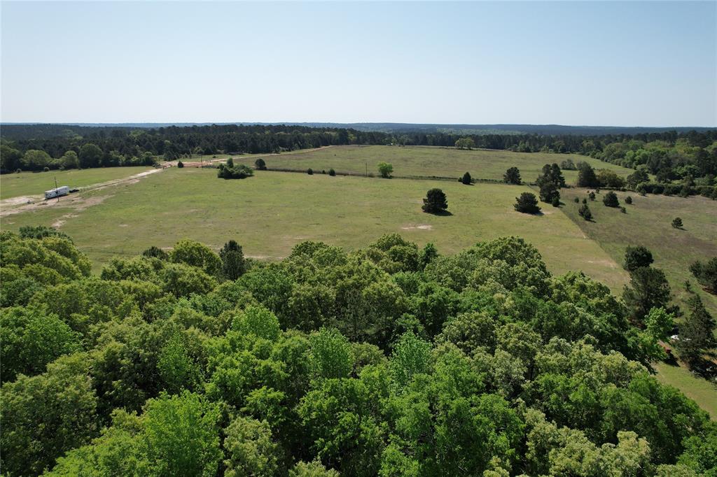 2954 County Road 2170, Grapeland, Texas image 22