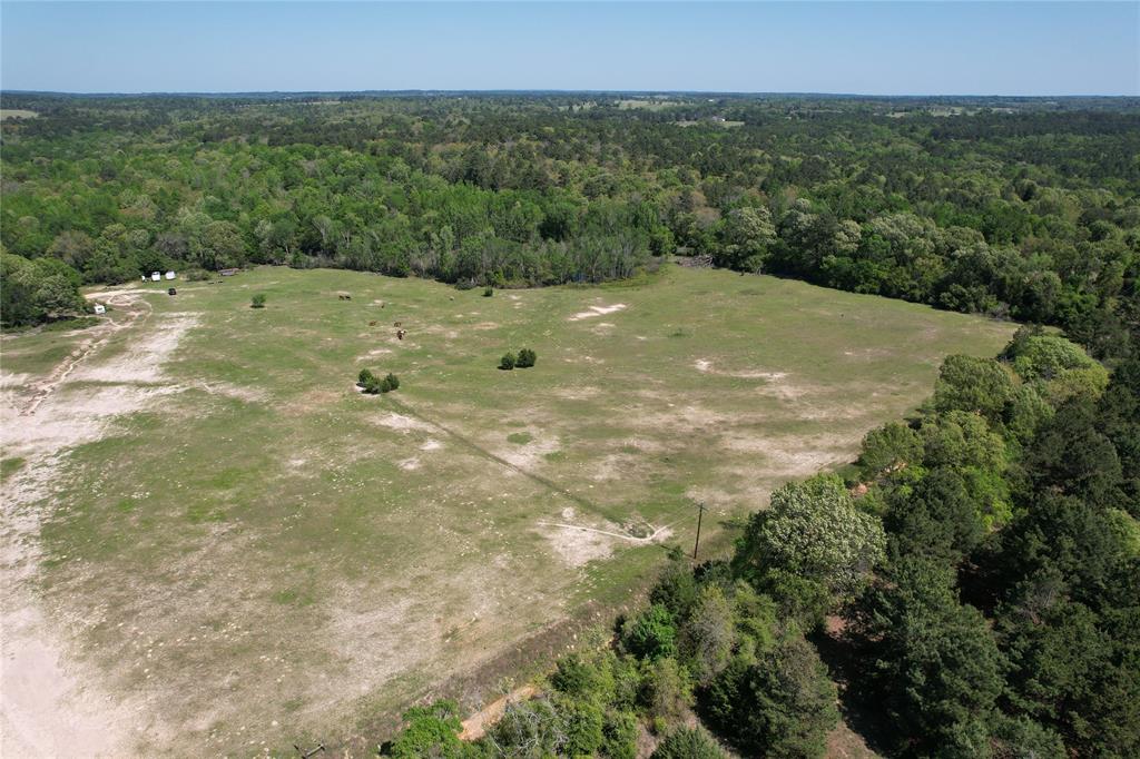 2954 County Road 2170, Grapeland, Texas image 20