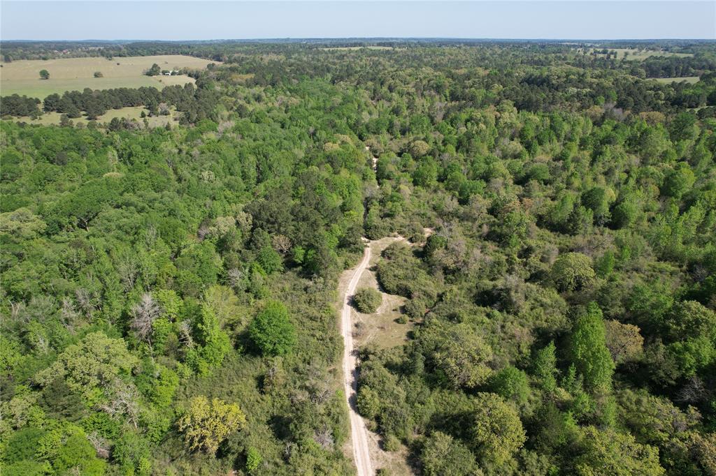2954 County Road 2170, Grapeland, Texas image 5