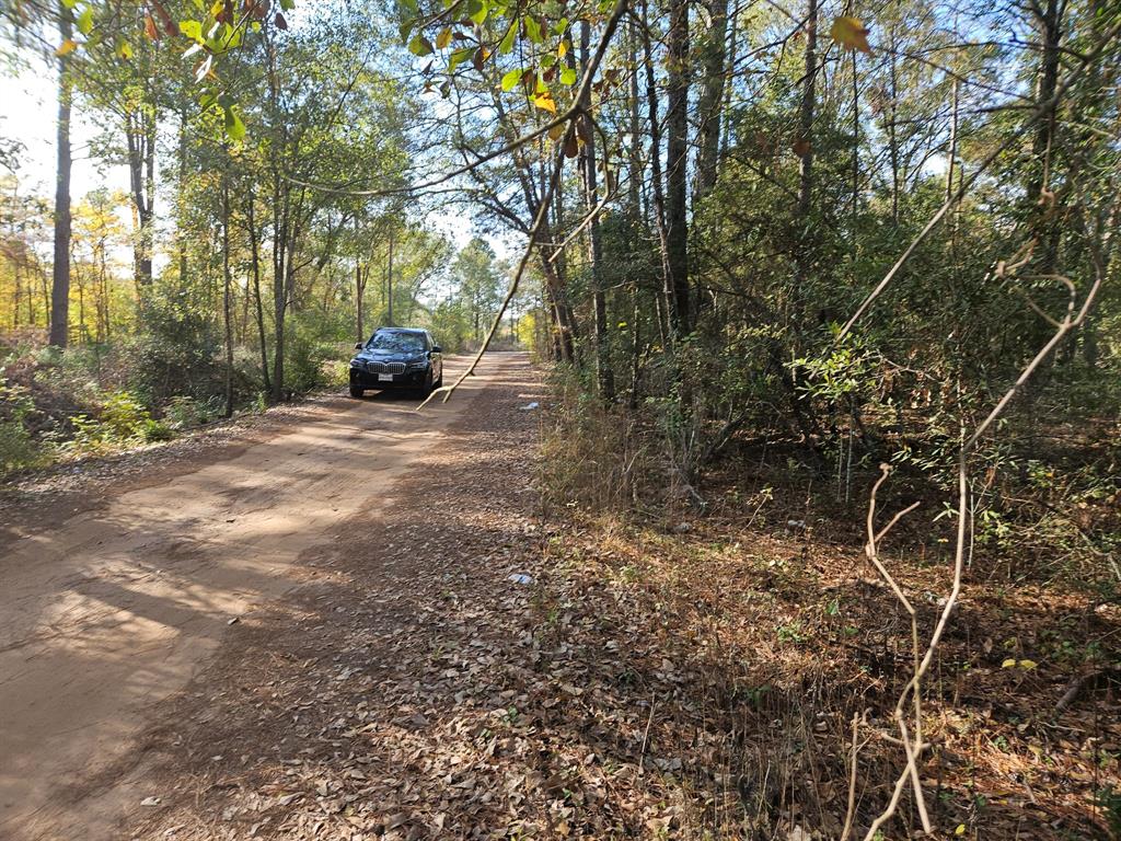 0000 Pinecone Ln Lane, Plantersville, Texas image 2