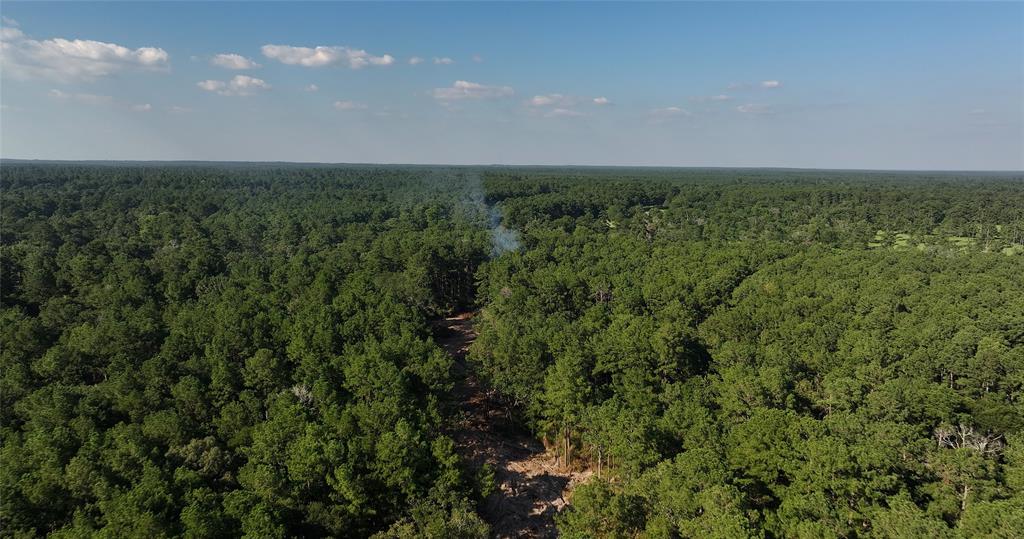 Tbd 1400 Fm 362 Road, Waller, Texas image 18