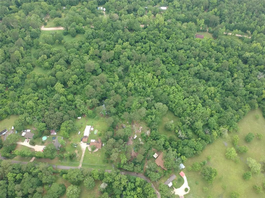 141 Ranch Acres Drive, Huntsville, Texas image 8