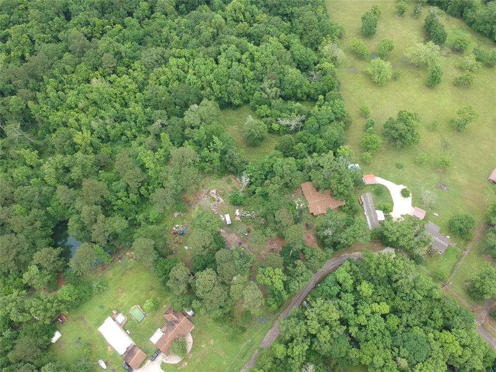 141 Ranch Acres Drive, Huntsville, Texas image 6