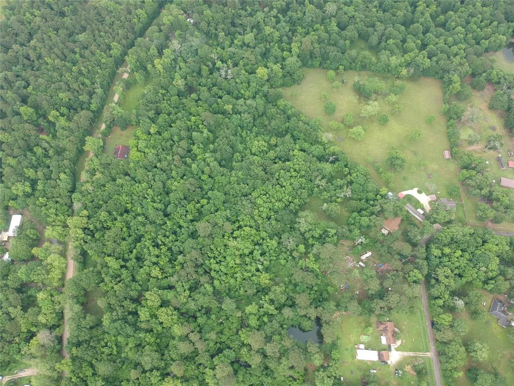 141 Ranch Acres Drive, Huntsville, Texas image 7