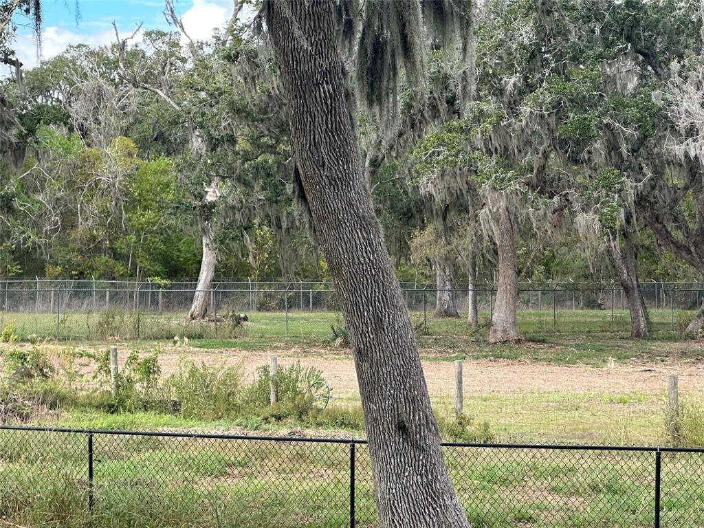 20193 County Road 461, Brazoria, Texas image 18