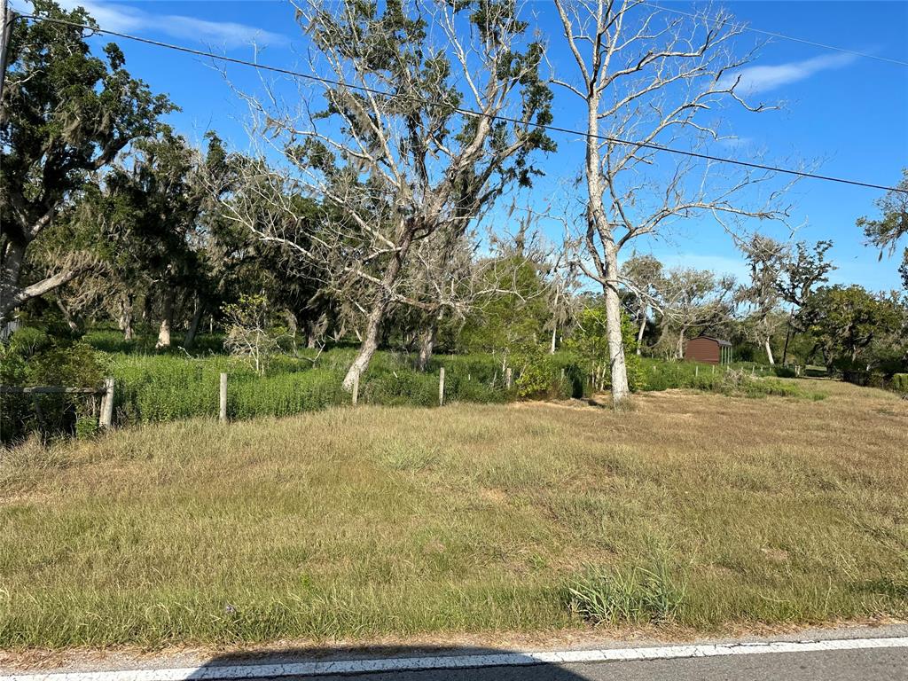 20193 County Road 461, Brazoria, Texas image 16