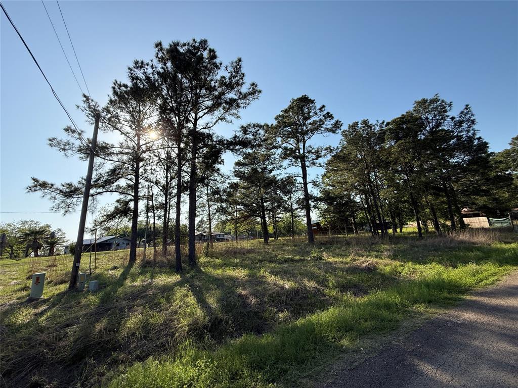 TBD Davenport Drive, Livingston, Texas image 3