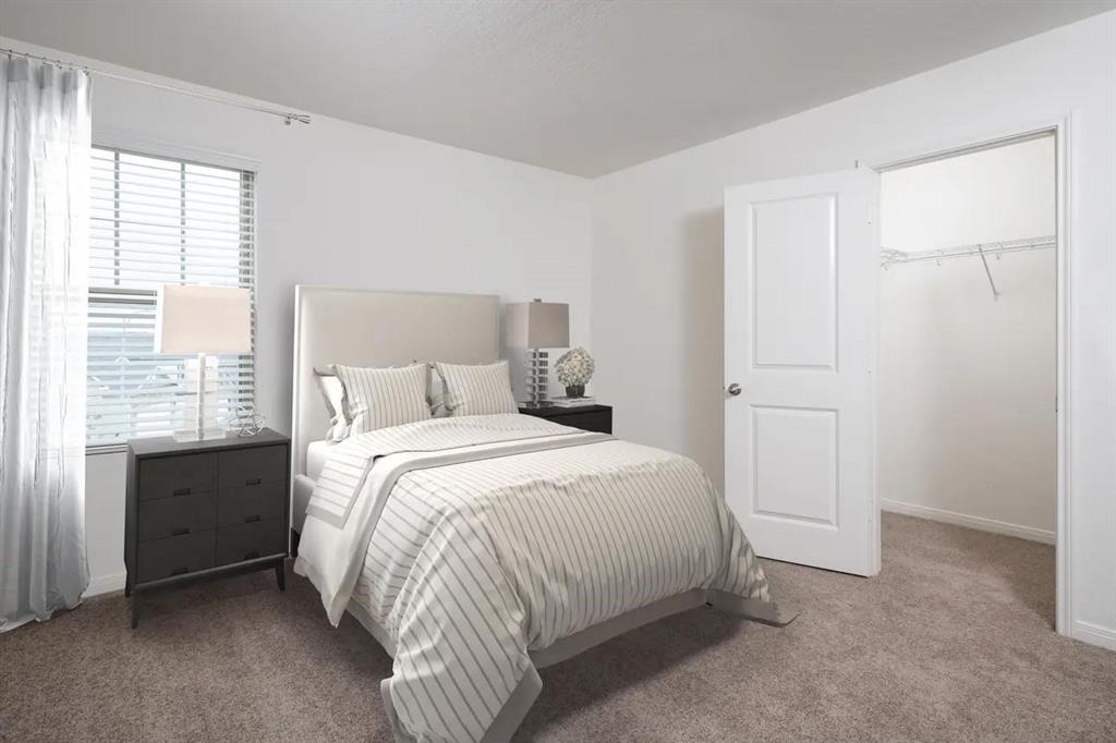 15311 Abella Drive, Montgomery, Texas image 25