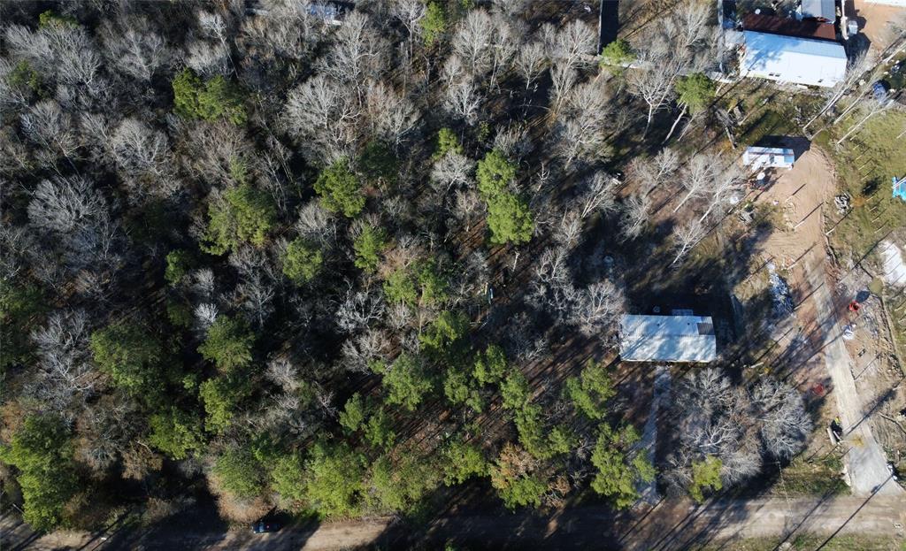 19237 Kettering Circle, New Caney, Texas image 3