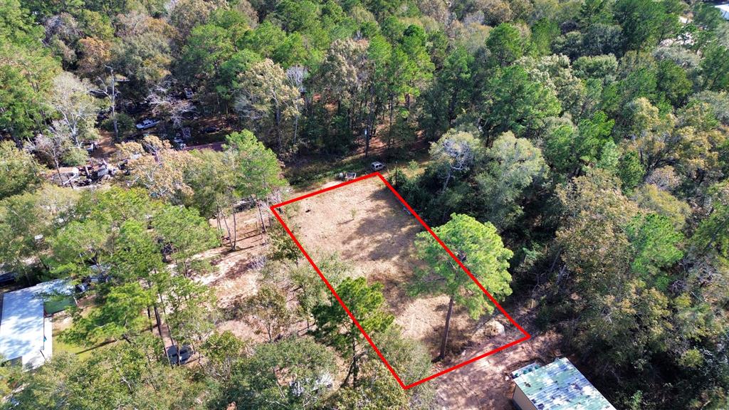 14246 Double X Street, Splendora, Texas image 28