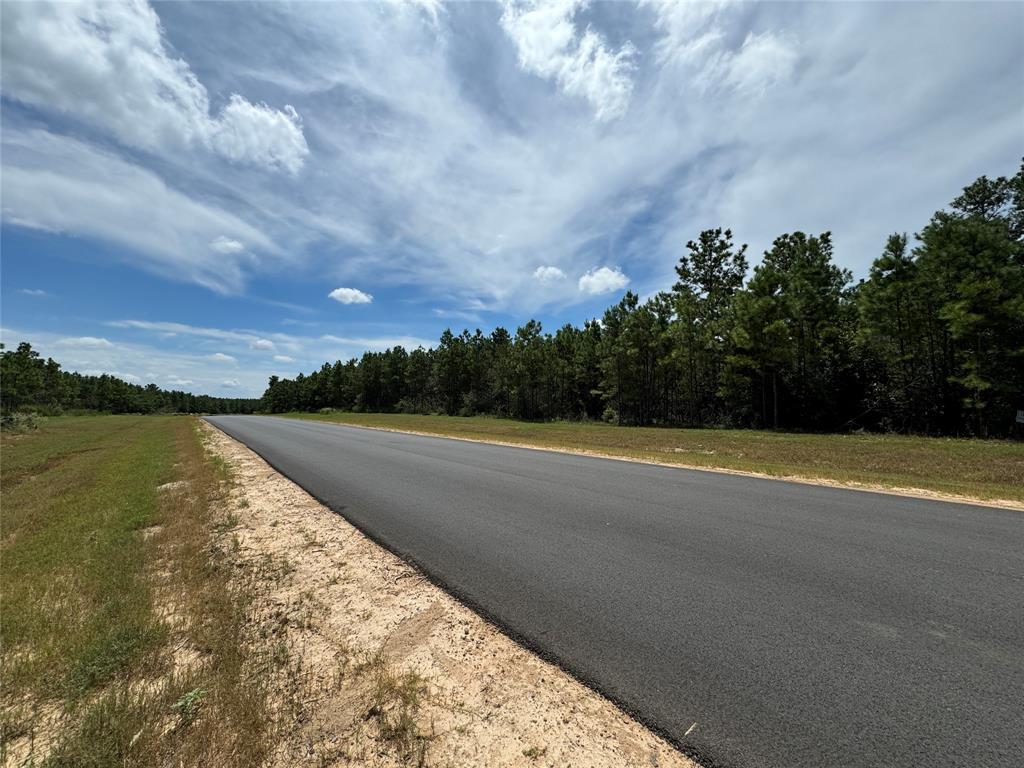 15346 Forest Grove Drive, Willis, Texas image 3
