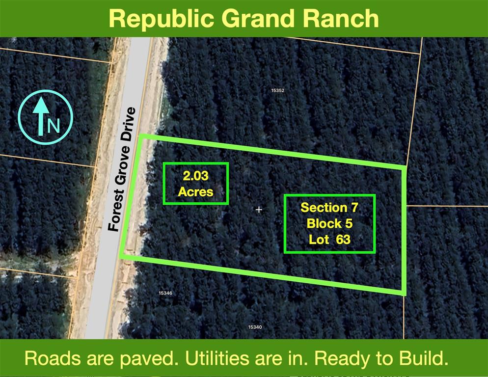 15346 Forest Grove Drive, Willis, Texas image 1