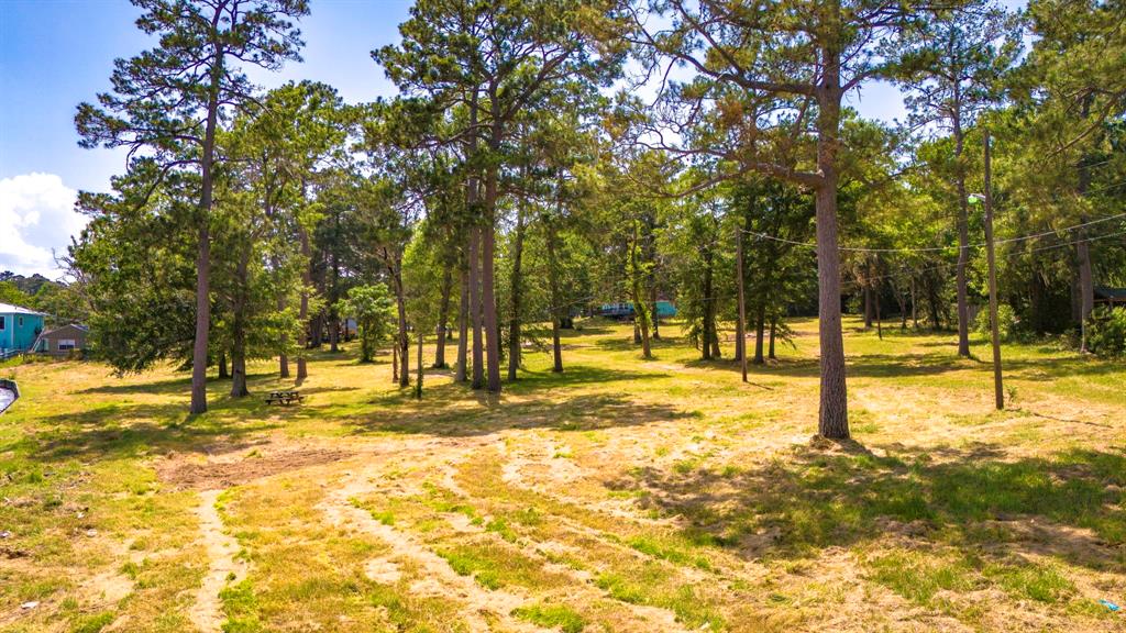 000 Shawnee Drive, Onalaska, Texas image 9
