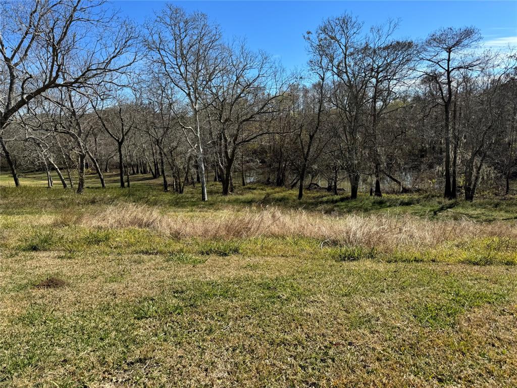 13602 S Goodyear Road, Dayton, Texas image 1