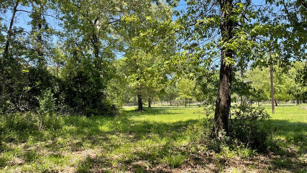19781 County Road 431 - 1 Acre Road, Marquez, Texas image 19