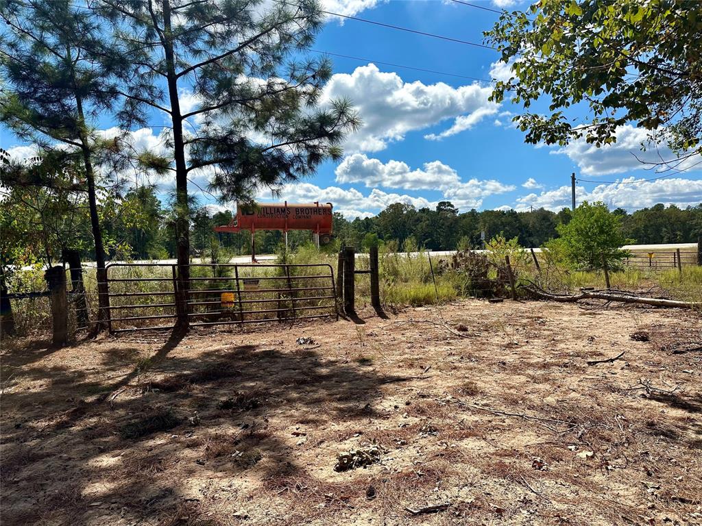 Tawnyberry Lane, Plantersville, Texas image 5