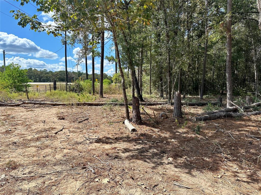 Tawnyberry Lane, Plantersville, Texas image 4