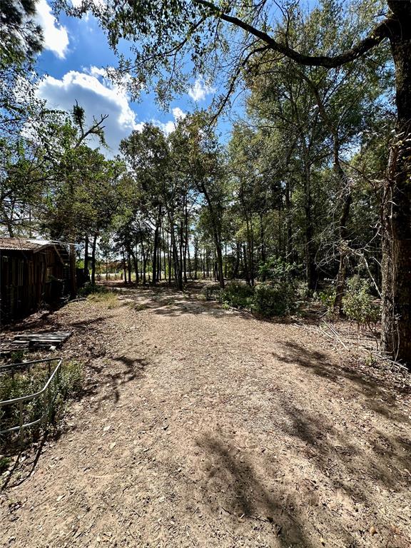 Tawnyberry Lane, Plantersville, Texas image 9