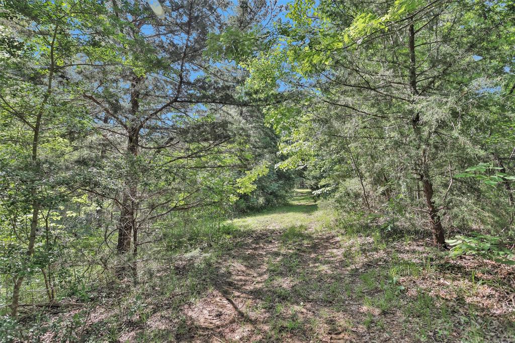 6901 Fm 224 Road, Coldspring, Texas image 37