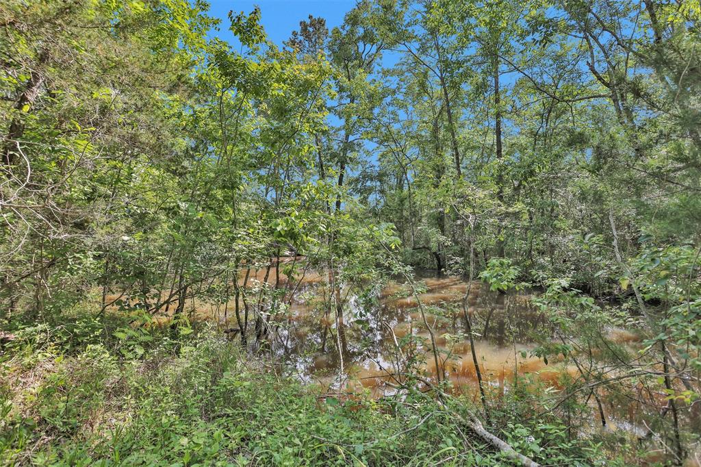 6901 Fm 224 Road, Coldspring, Texas image 45