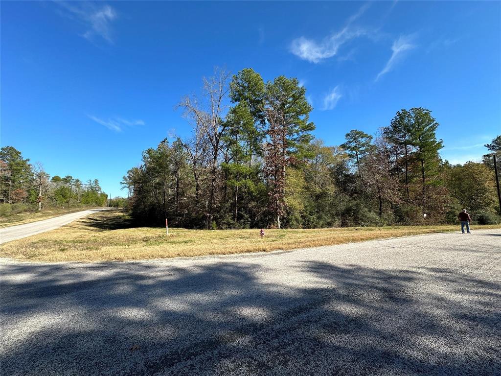 2-6-68 Hereford Trail, Huntsville, Texas image 1