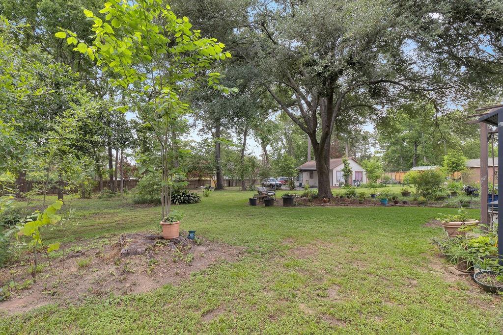 24930 Plantation Estates Avenue, Porter, Texas image 30