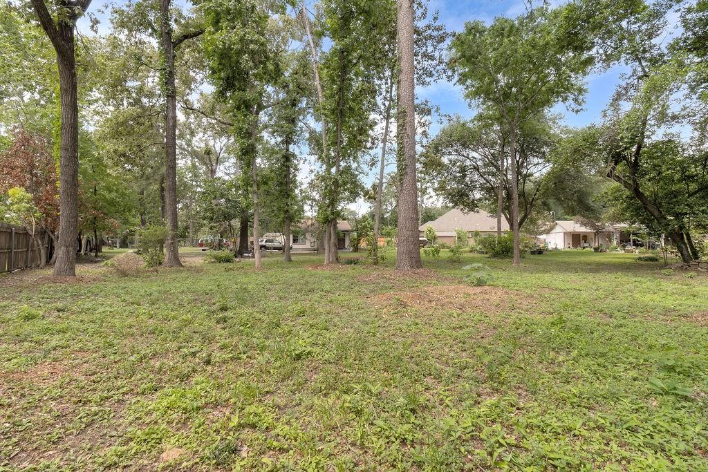 24930 Plantation Estates Avenue, Porter, Texas image 32