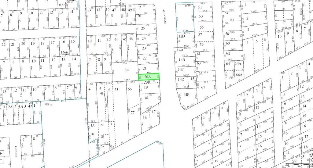 2917 Altoona Street, Houston, Texas image 4