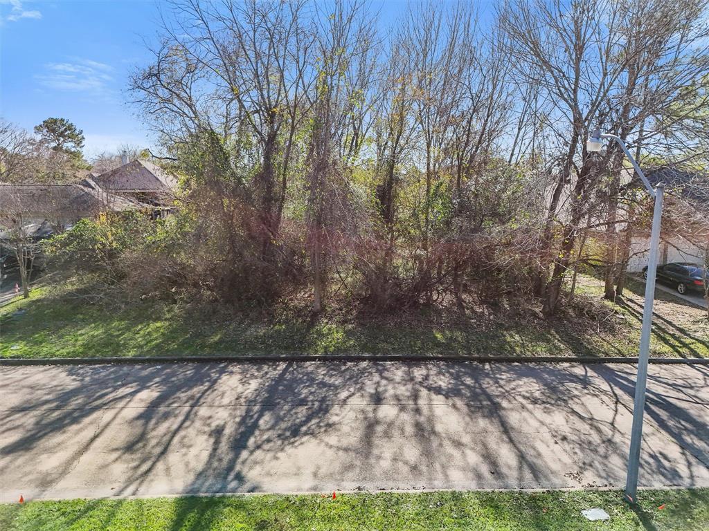 12319 Hawthorne Drive, Montgomery, Texas image 2