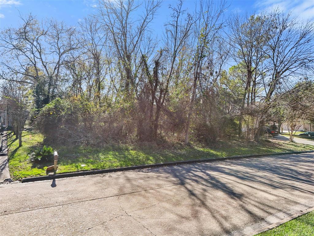 12319 Hawthorne Drive, Montgomery, Texas image 3