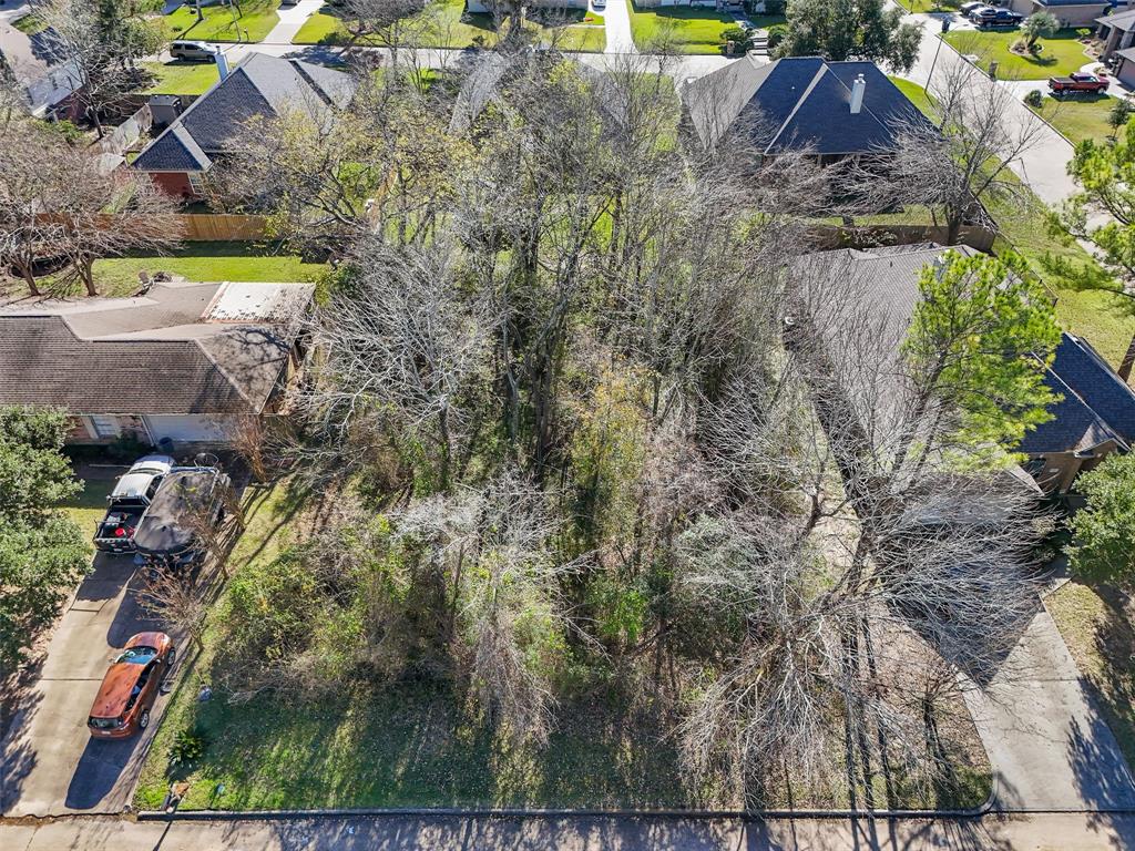 12319 Hawthorne Drive, Montgomery, Texas image 5