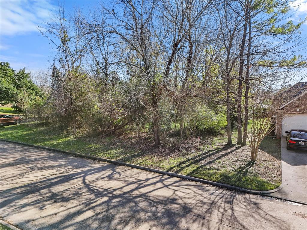 12319 Hawthorne Drive, Montgomery, Texas image 4