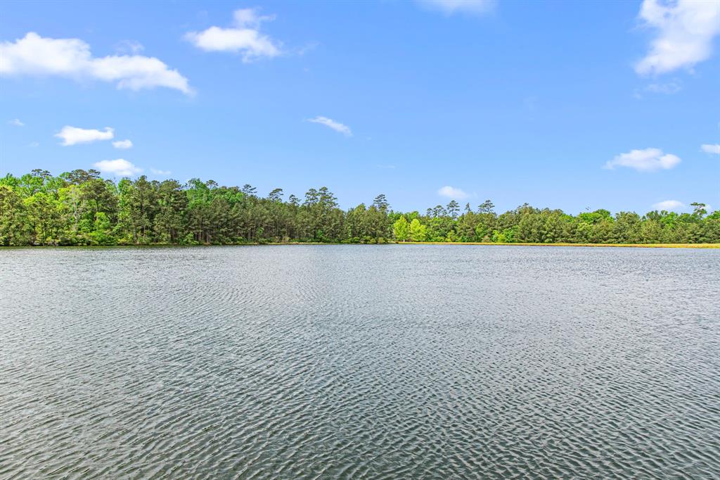 6811 S Trace Drive, Magnolia, Texas image 45