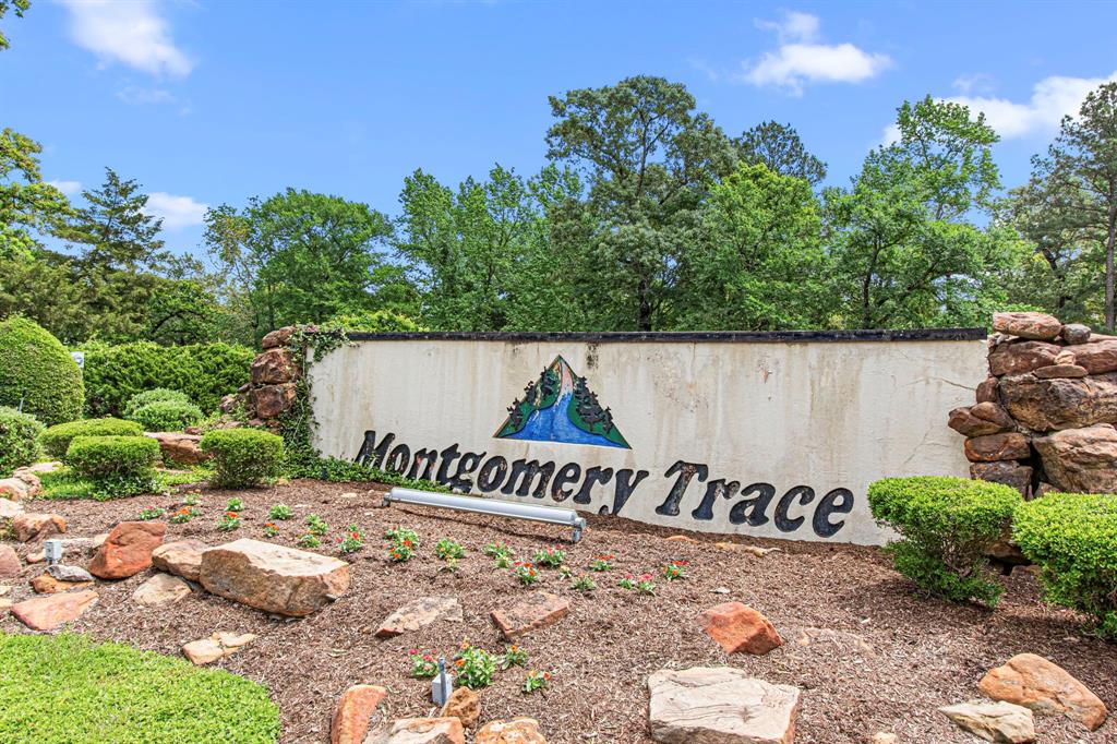 6811 S Trace Drive, Magnolia, Texas image 47