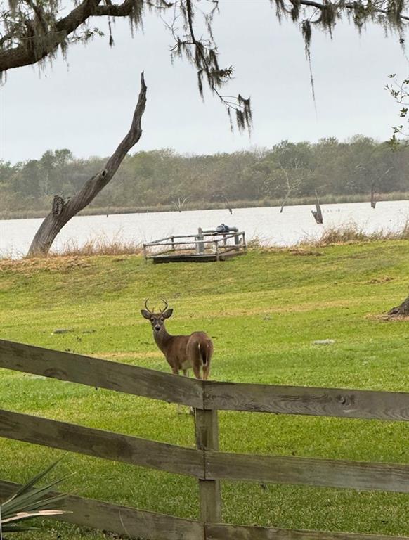 Lot 209 Brahman Trail, Angleton, Texas image 4