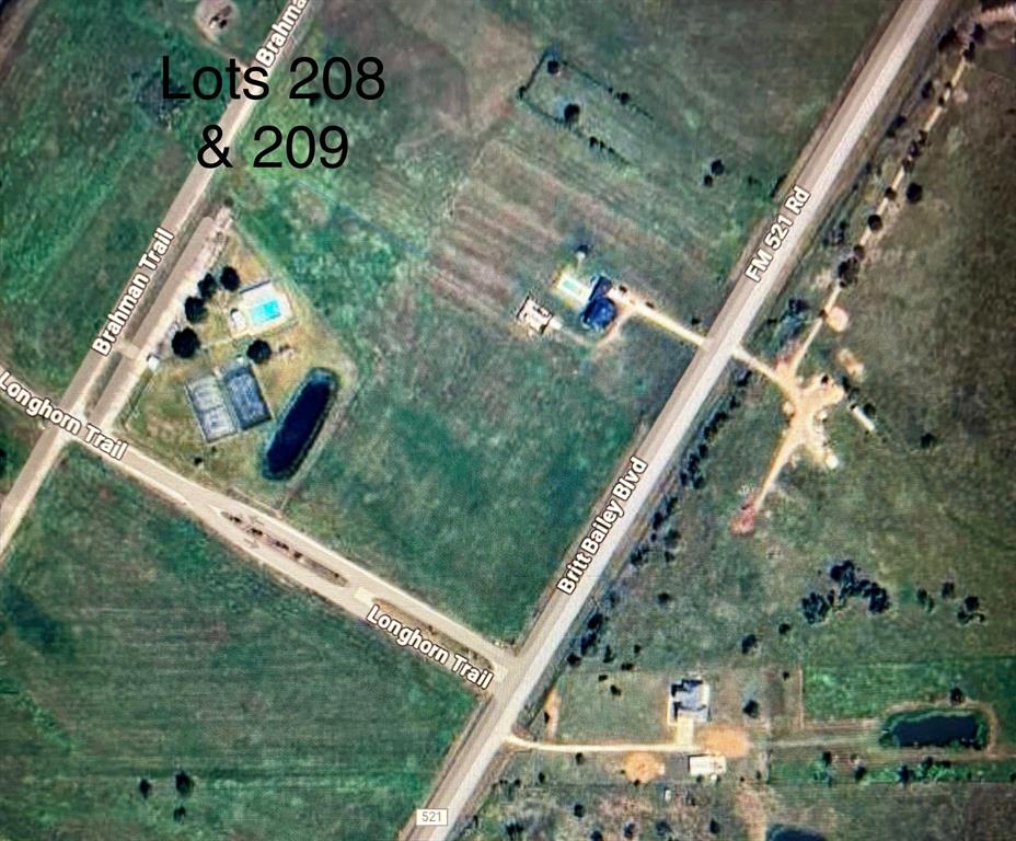 Lot 209 Brahman Trail, Angleton, Texas image 3