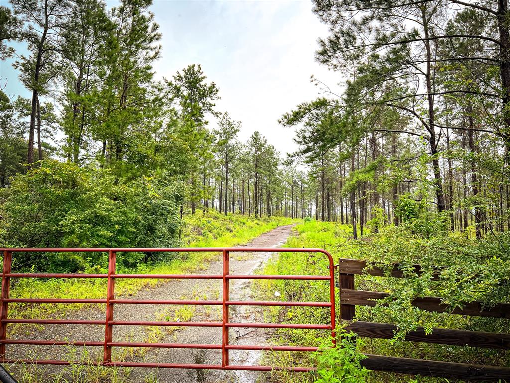 02 Cr 258, Jasper, Texas image 16