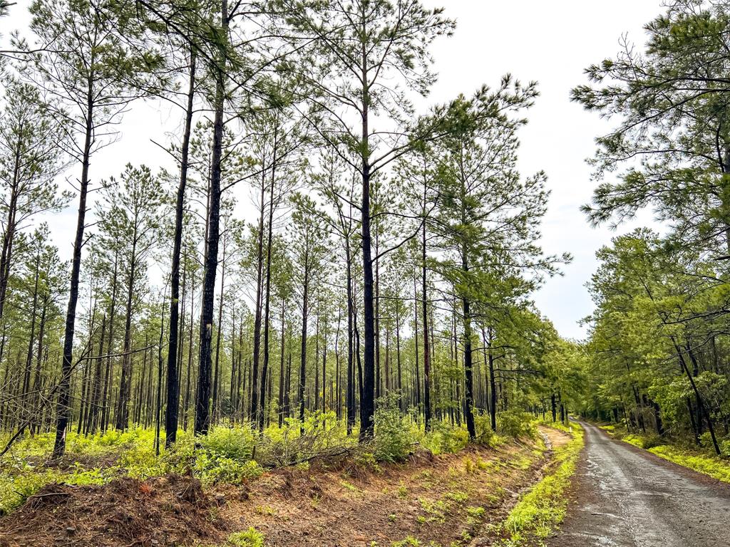 02 Cr 258, Jasper, Texas image 9