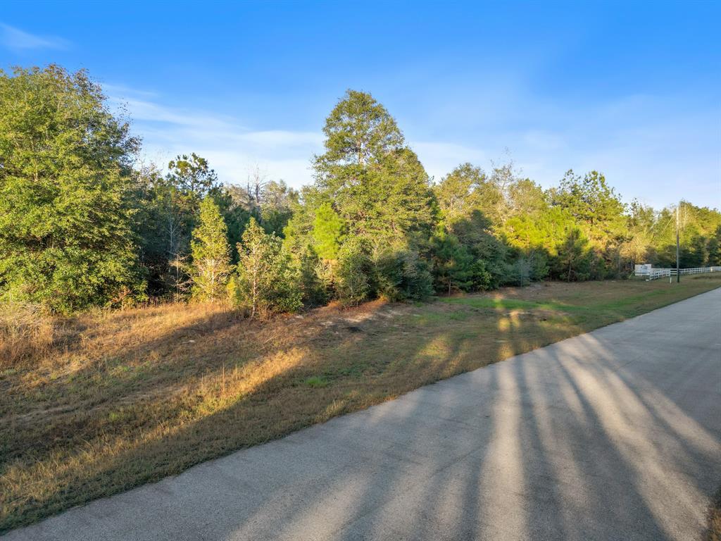 21347 Doru Drive, Cleveland, Texas image 9