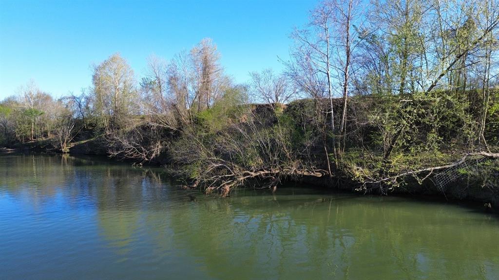 314 Fm 2571, Smithville, Texas image 7