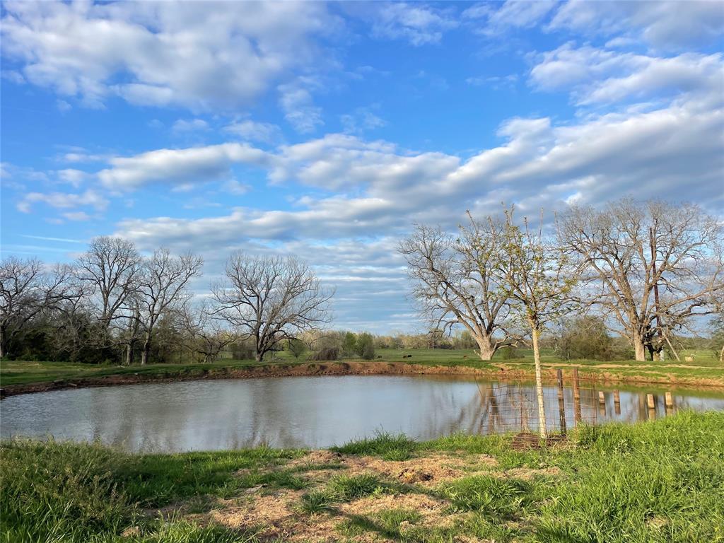 314 Fm 2571, Smithville, Texas image 14