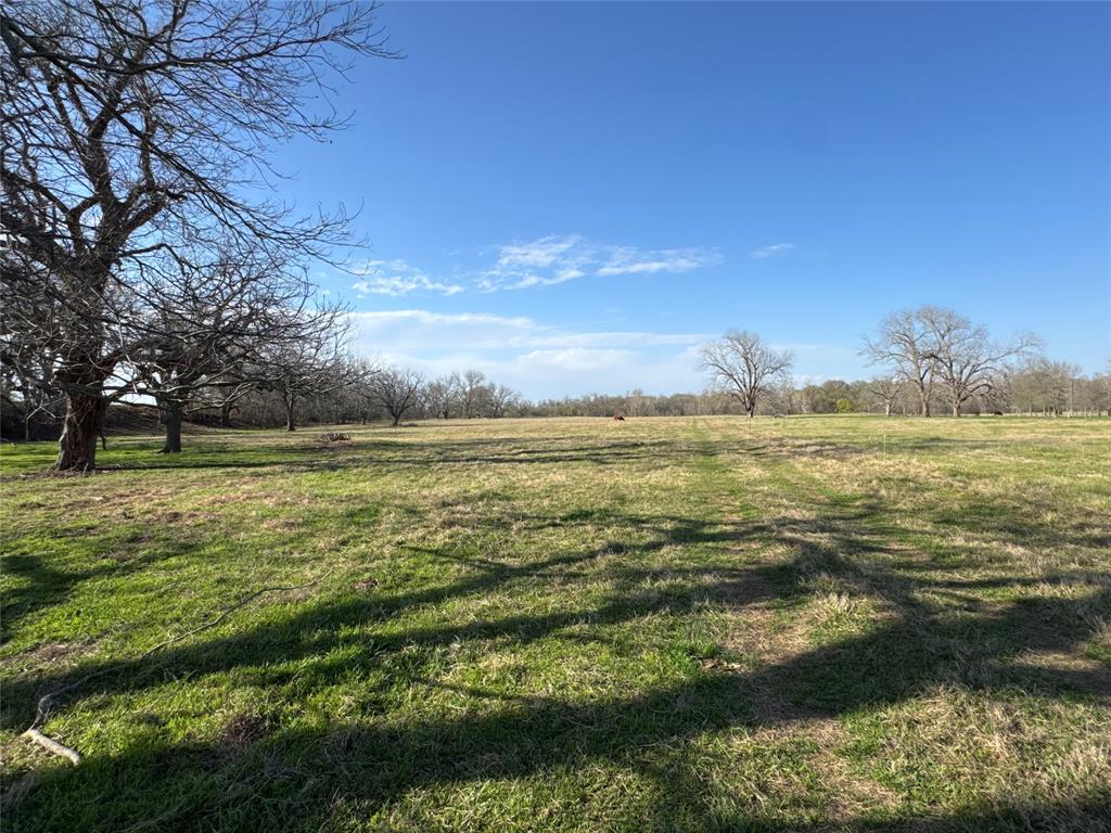 314 Fm 2571, Smithville, Texas image 20