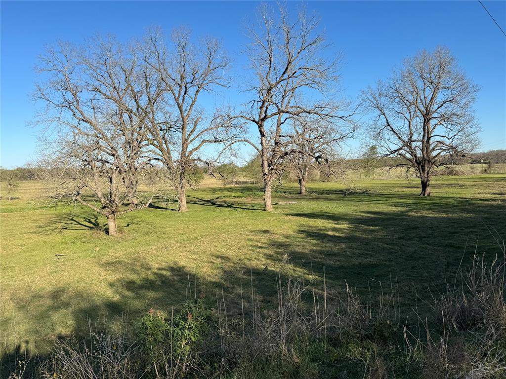314 Fm 2571, Smithville, Texas image 3