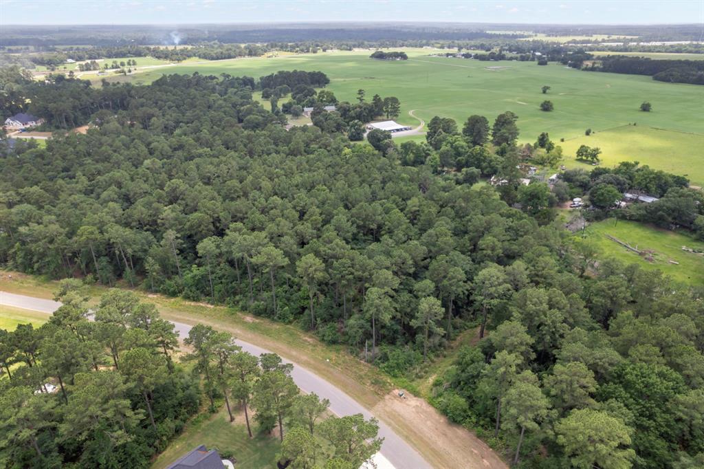 14762 Fm 1774, Plantersville, Texas image 3