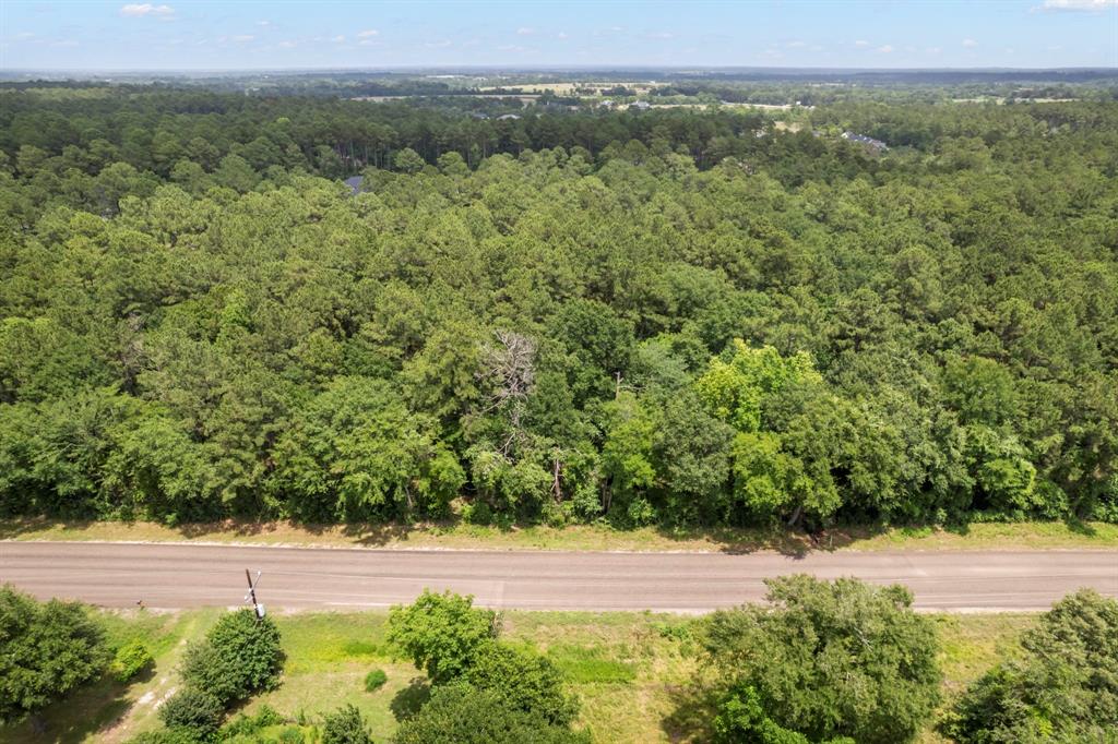 14762 Fm 1774, Plantersville, Texas image 17